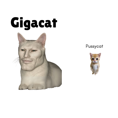TheGigaCatSOL's tweet photo. The most alpha cat in the world. https://t.co/LIo7FWL2A0
