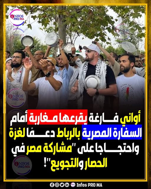 SAYYEDMUSAWI1's tweet image. 
