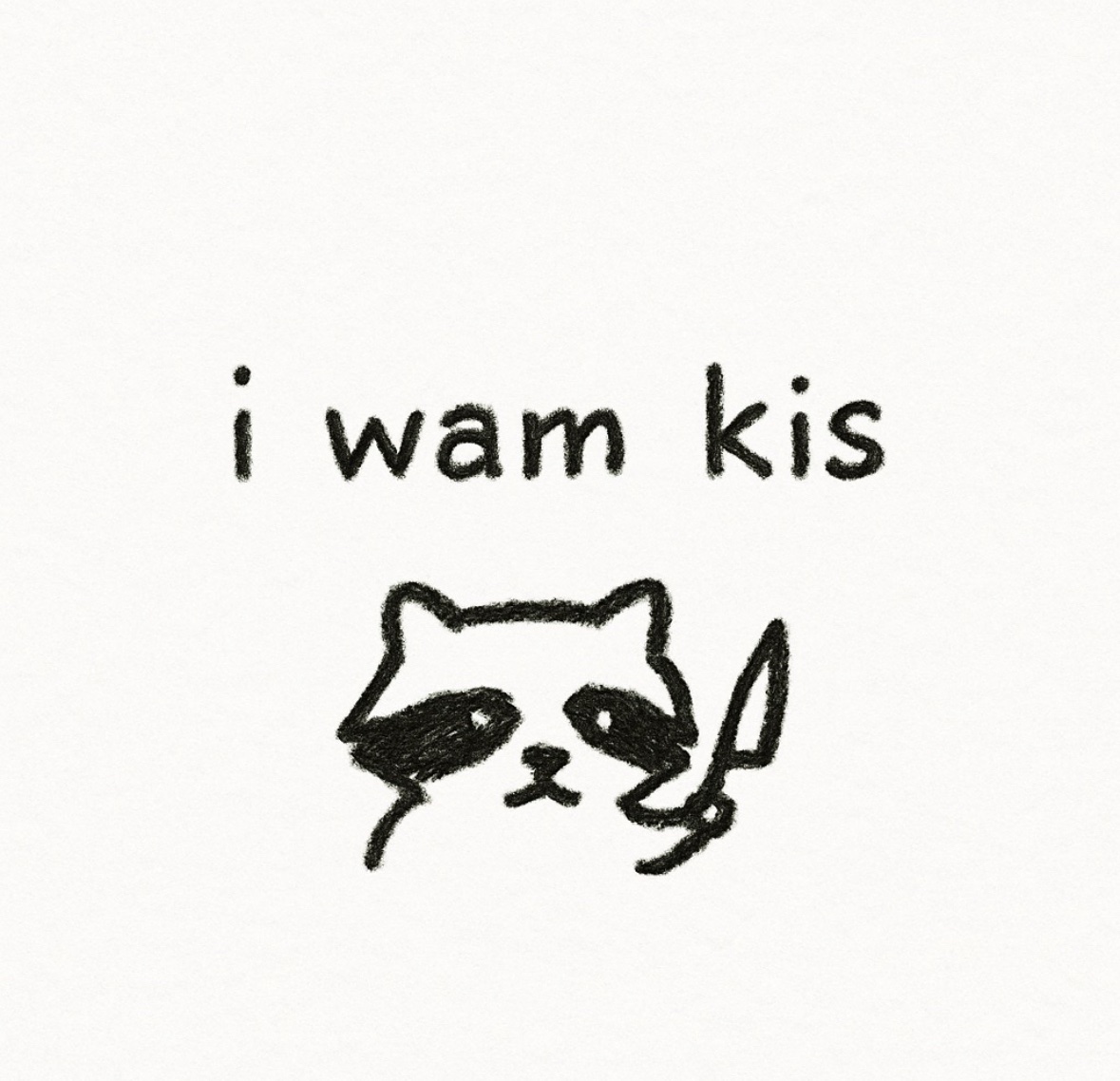 raccoon aesthetic. (@raccoonesthetic) on Twitter photo 