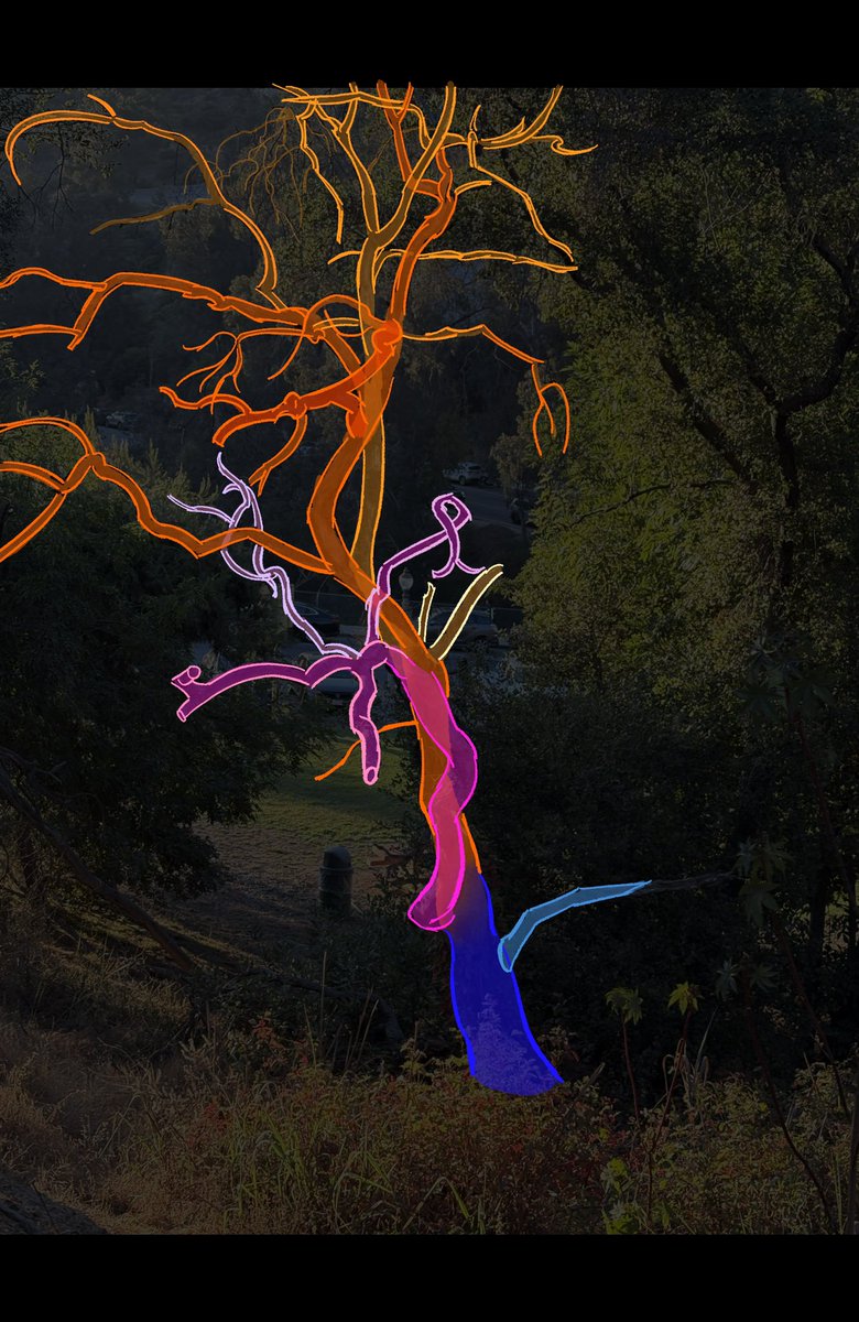 trying to understand this tree