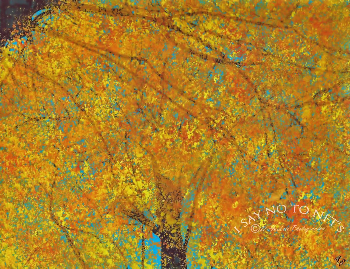dhackett4150's tweet image. Trees In Fall by D Hackett Despite what many people think, Florida has an amazing variety of trees that produce fantastic fall colors, and this was my inspiration for this painting, acrylics on textured paper. donna-hackett.pixels.com/featured/trees…