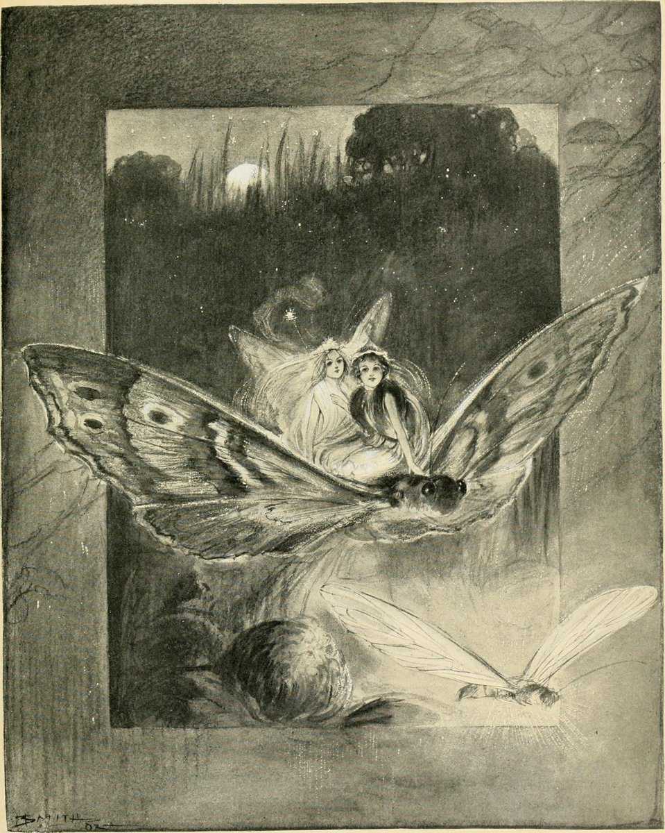dreamerbook's tweet image. From the book :'In happy far away land' illustrated by Ruth Kimball Gardiner, 1902.
#illustration #bookillustration #1900s #butterfly #fairytale