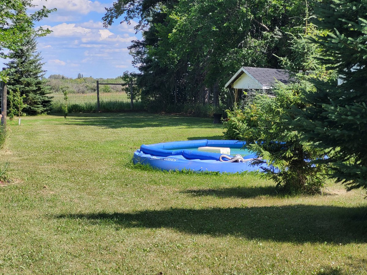saskatchewan_in's tweet image. I was making my very best effort at doing something off line, you know - being productive - and it went sideways on me. Typically I’m just your average, happy-go-lucky gal, blissfully tending my backyard disaster, when today life decides to toss me into chaos.  My four cats –…