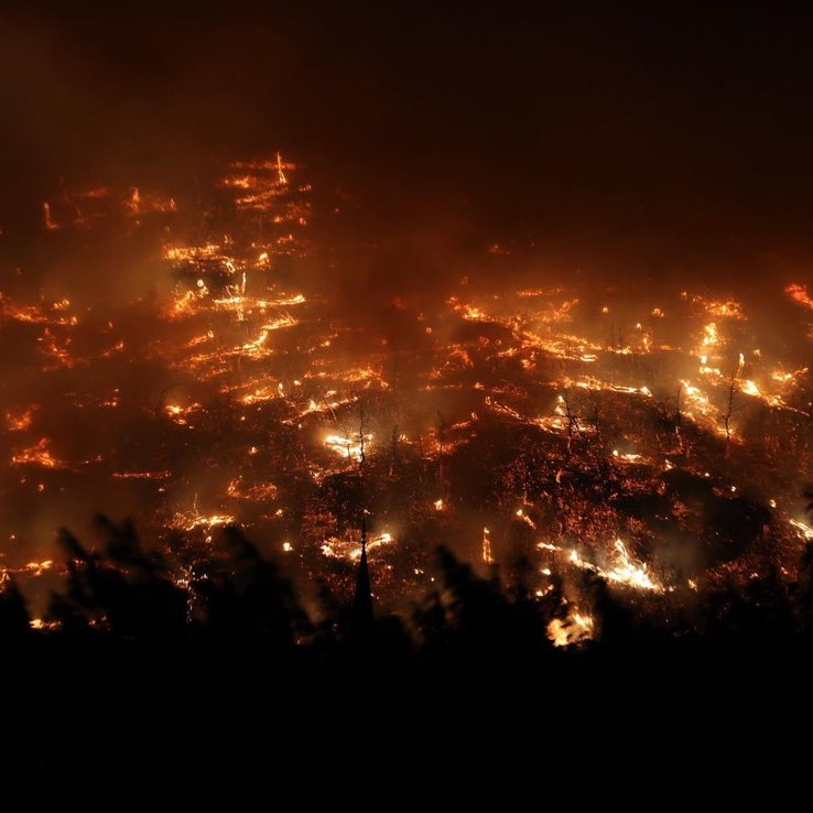 🇹🇷🇹🇷🇹🇷
Mavi vatan, yeşil vatan, karamız, havamız kısacası VATANIMIZIN her köşesi değerli ve her köşesi bizim ciğerimizin bir parçası.
Haftalardır ülkemizin farklı yerleri yanıyor. Bunda bir kasıt varsa, başka hiçbir program ya da ajanda gözetilmeksizin gereken yapılmalıdır.