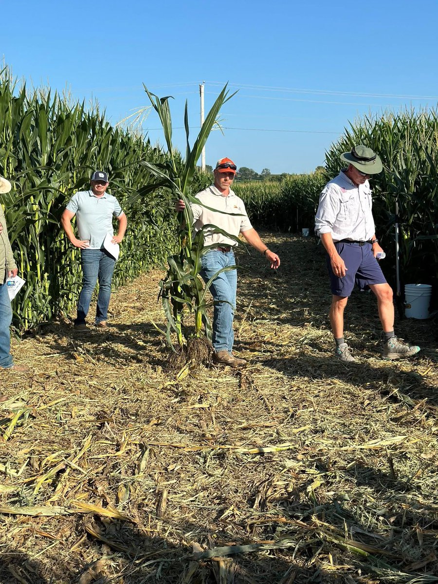 SWIACrop's tweet image. @Dekalb_Asgrow highlighting our #Preceon Smart Corn. When I get an invitation titled Short Corn &amp;amp; Tall Boys…my interest is peaked. 
What would you do / change if you had season long access? 
Photo credit: Midline Farms
@Asgrow_DEKALB