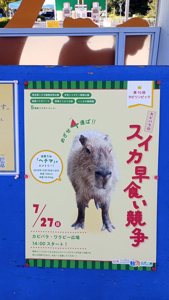 winterflog's tweet image. 今日だね。