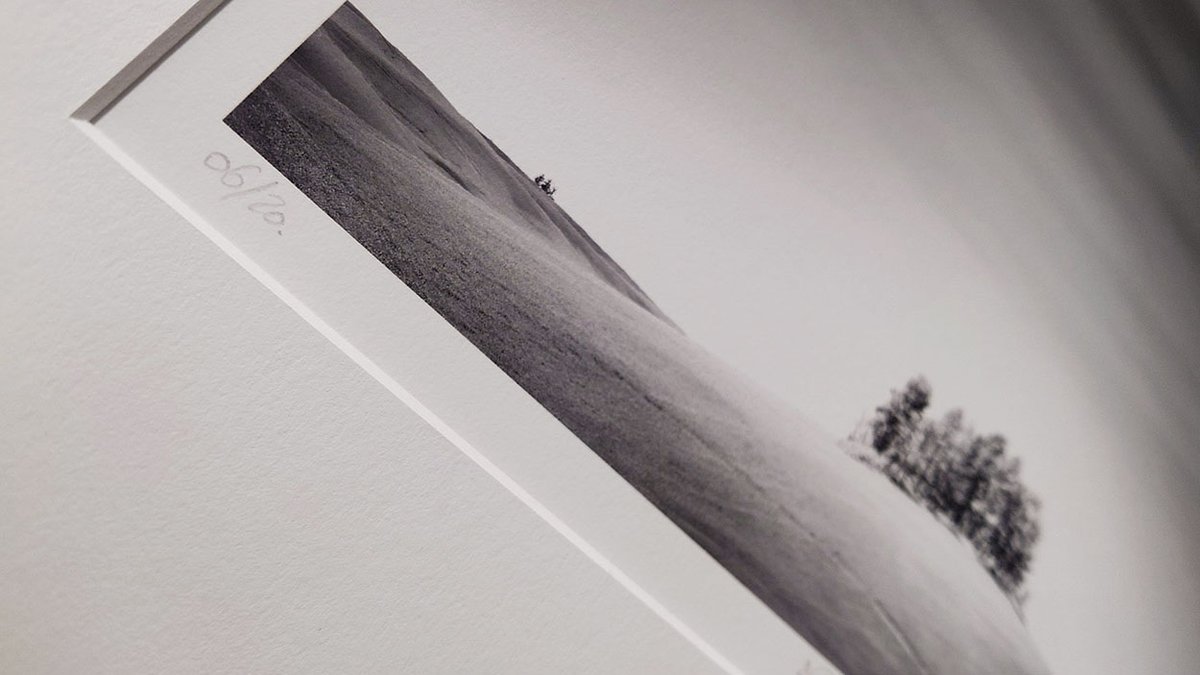 📸 July 2025 Thibault Roland Fine Arts Newsletter 📸 - mailchi.mp/53262a0d235a/t…