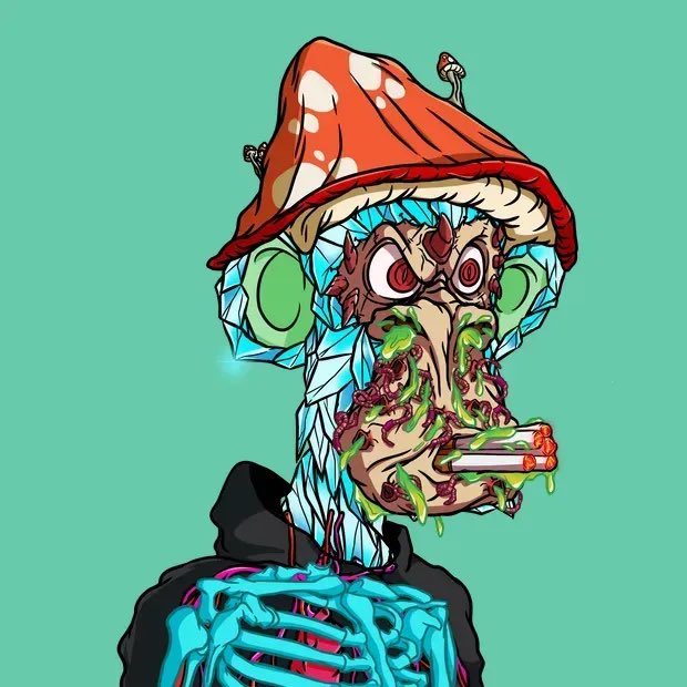 bi3hop22's tweet image. My little wouldn’t listen I told him”one hit will do ya” so he takes 5, hah, now look at ‘em
he pissed and funguy’d up..always listen to your big bro @OrdiMutants
