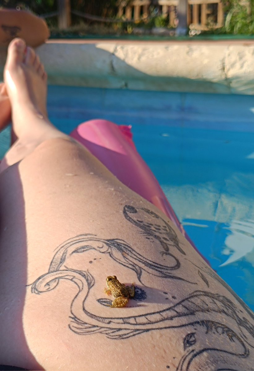 marmarguez's tweet image. Tiana y el sapo.