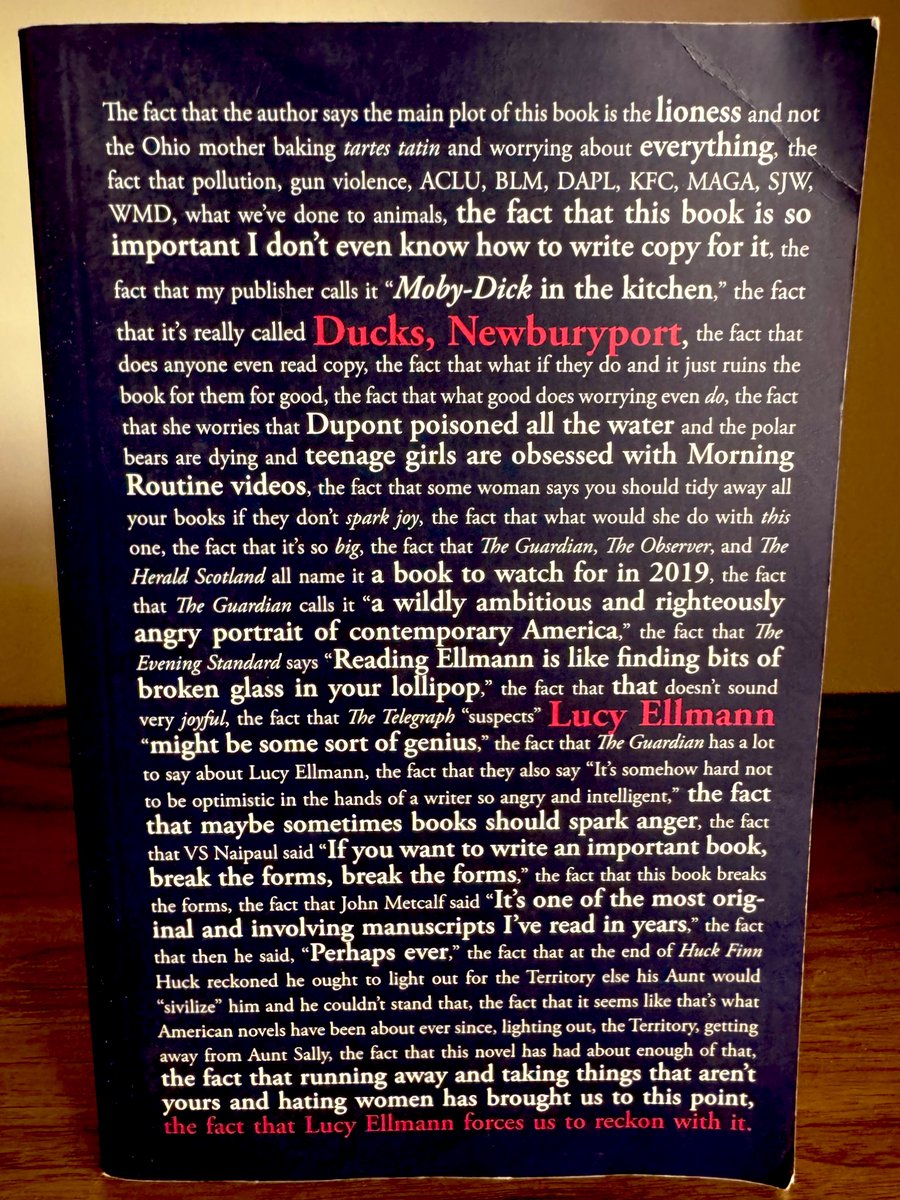 willevans's tweet image. Speaking of galleys, there’s still no better galley cover. All time great work from @biblioasis for an all time great book.
