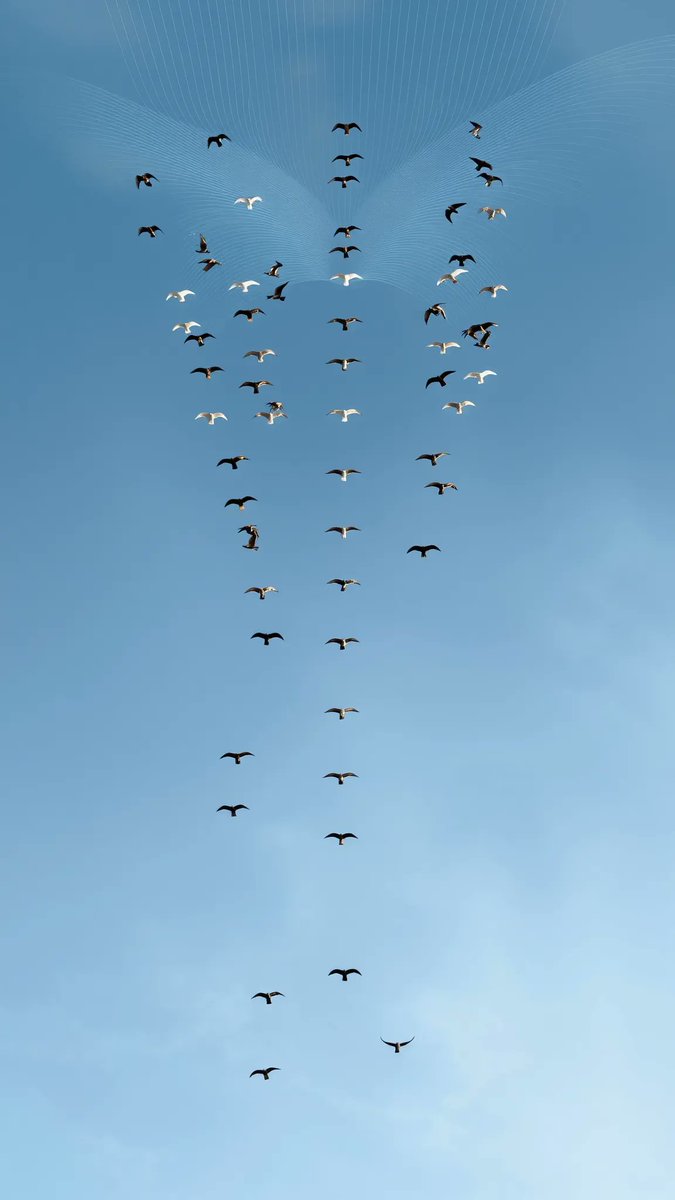 theiins's tweet image. 📷 Did you know?
Your body might be hiding a superpower you never realized.
youtube.com/shorts/iec2mUU…
#Magnetoreception #CryptochromePower #HiddenHumanSuperpower #BodyElectricity #VibeSense #InvisibleFields #RSSearch #DirectionSense #HumanMagnetoreception #CryptochromeMystery