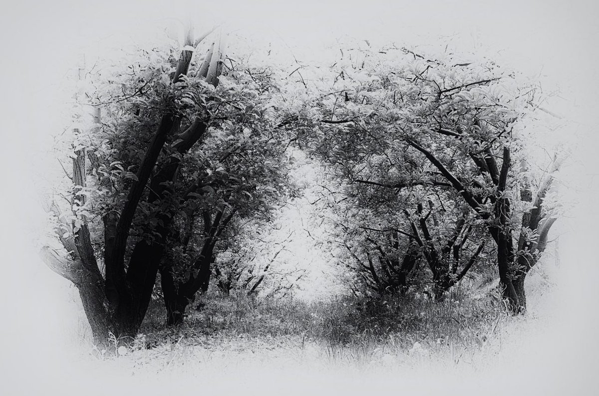 Violet💜📷 (@banafsheh_ph) on Twitter photo <a href="/javad_rostami_a/">Mohammad javad rostami</a> <a href="/thepropgallery/">TheJPEGGallery ⌐◨-◨</a> <a href="/zahranikazar/">Zahra Nik Azar</a> Hi dear friend🌸
Do you like B&W photography? 📷
I invite you see my artworks works on <a href="/objktcom/">objkt</a>
objkt.com/users/tz1dQajb…
<a href="/janisour33/">Janis</a> <a href="/Hitokirivon/">Hito⚡</a>
<a href="/MASS_617/">MASS_617</a> <a href="/Manishahzadeh/">Mani Shahzadeh</a>
<a href="/ccubetez/">сcube ıı</a> <a href="/nft_clctr/">Elias_tnft 💎💎💎</a> <a href="/javad_rostami_a/">Mohammad javad rostami</a> <a href="/thepropgallery/">TheJPEGGallery ⌐◨-◨</a> <a href="/zahranikazar/">Zahra Nik Azar</a> Hi dear friend🌸
Do you like B&W photography? 📷
I invite you see my artworks works on <a href="/objktcom/">objkt</a>
objkt.com/users/tz1dQajb…
<a href="/janisour33/">Janis</a> <a href="/Hitokirivon/">Hito⚡</a>
<a href="/MASS_617/">MASS_617</a> <a href="/Manishahzadeh/">Mani Shahzadeh</a>
<a href="/ccubetez/">сcube ıı</a> <a href="/nft_clctr/">Elias_tnft 💎💎💎</a>