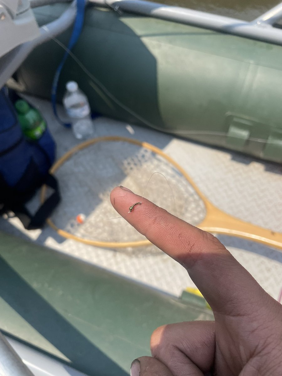 switchbeerflip's tweet image. Floated with @Beer_Pisser and hooked my finger for the first time in my whole entire life. Caught my first fish on the lower Provo, didn’t make it to the boat, LDR, but counting it because he came within 2 feet of it. What a fun day