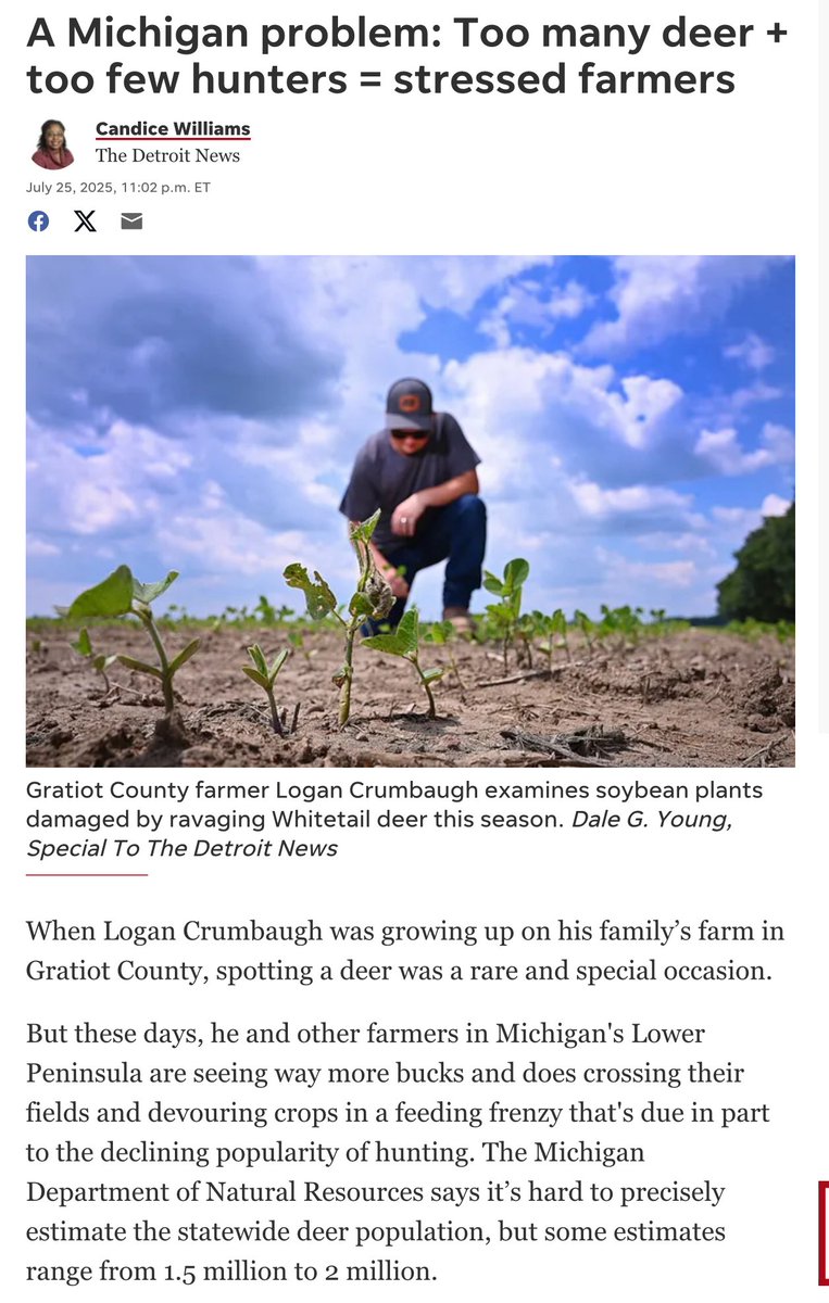 matthewmaddock's tweet image. Thank the @MichiganDNR for this menace. The hunter-hating DNR has intentionally made hunting so complex you need an attorney. Deer hunting should be free now. Anytime. Anywhere.