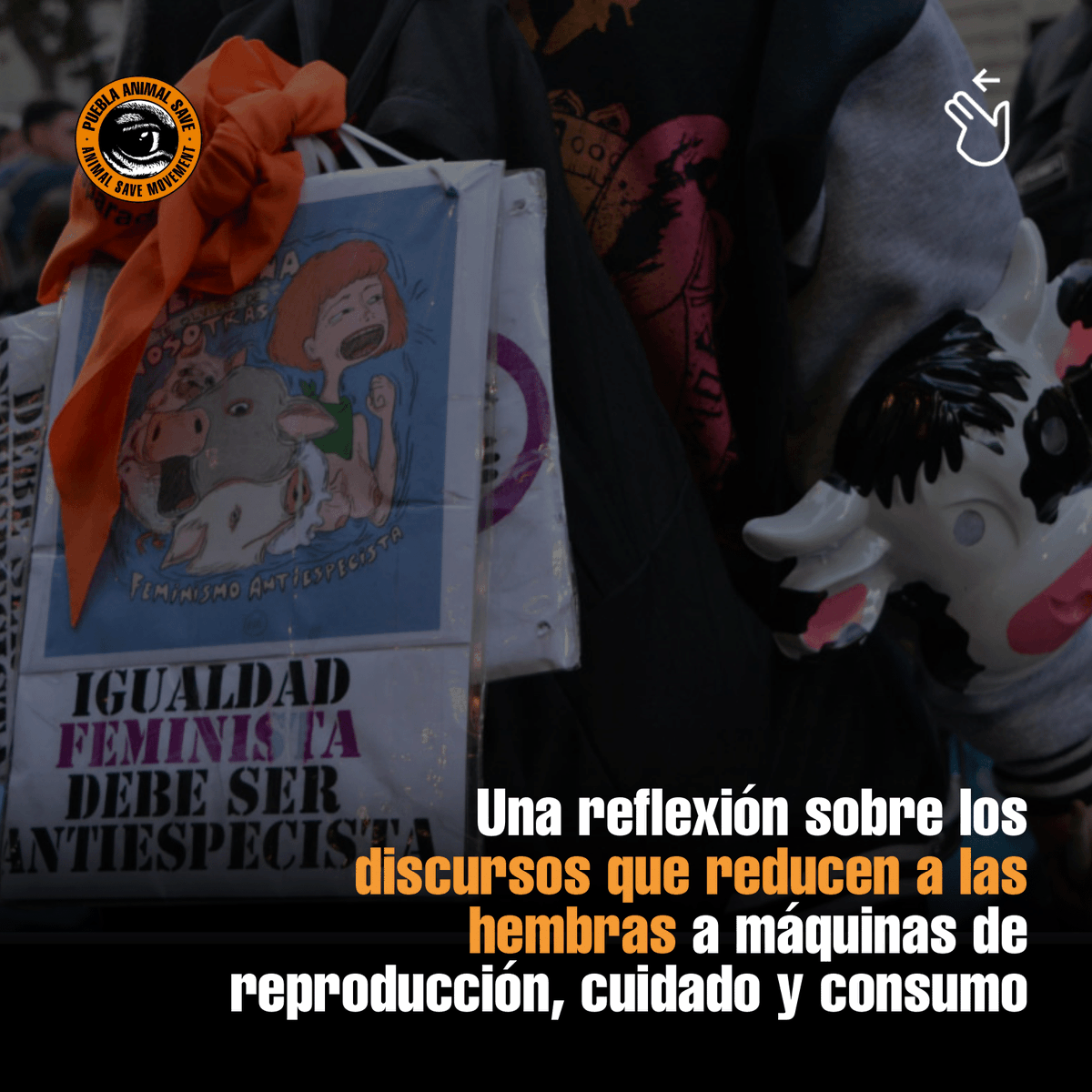 AnimalSavePUE's tweet photo. Discursos que dicen que las mujeres “están hechas para reproducir y cuidar” son machistas y reducen a funciones patriarcales.

La misma lógica sostiene la explotación de hembras en la industria alimentaria: vacas, gallinas y cerdas tratadas como máquinas de producción. https://t.co/uVfjAmDNKP