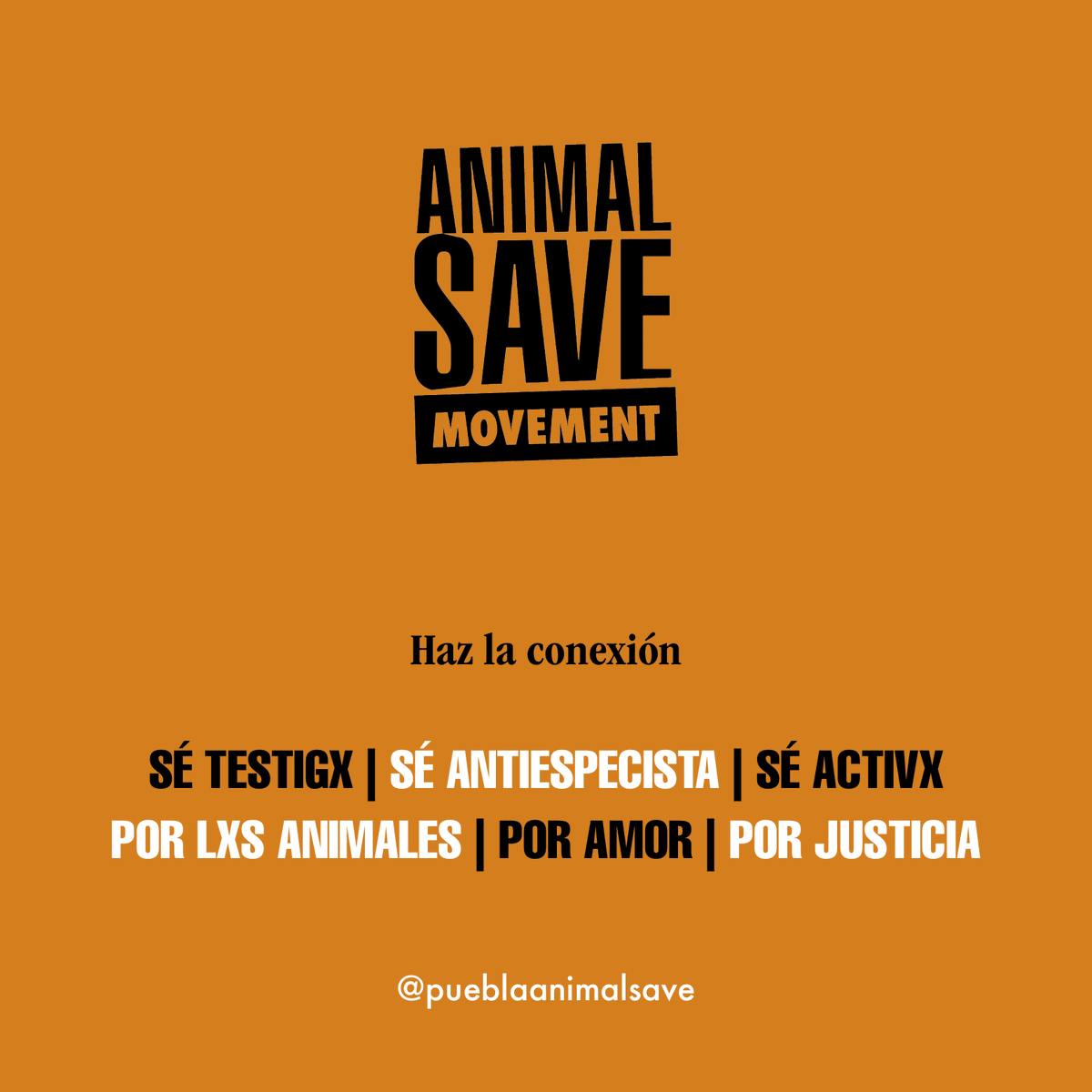 AnimalSavePUE's tweet photo. El machismo y el especismo comparten la misma raíz: creer que algunos cuerpos existen para servir a otros.

✊ La liberación será feminista, antiespecista e interseccional.

#PueblaAnimalSave #FeminismoAntiespecista #LiberaciónAnimal #Antiespecismo https://t.co/R7cpMZwXiC