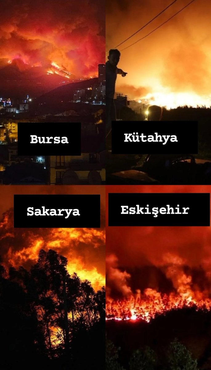 Yüreğimiz yanıyor
Bursa, Kütahya, Sakarya, Eskişehir...
Ormanlar, canlılar, doğa…

Allah bu felaketle mücadele edenlere güç versin.
Bu acıları yaşatanlara da hak ettiklerini…

#BursaYanıyor #OrmanYangını #Türkiyeyanıyor