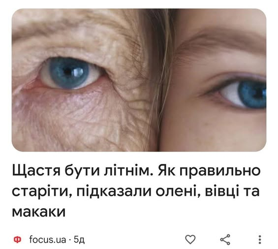 r2d2251's tweet image. В людей запитувати не пробували? При всій повазі, але поради овець, оленів та макак мене відверто насторожують