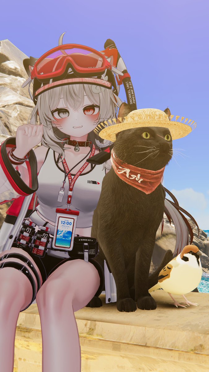 VRC_Rimui's tweet image. 고양이랑 여름휴가 왔어요!