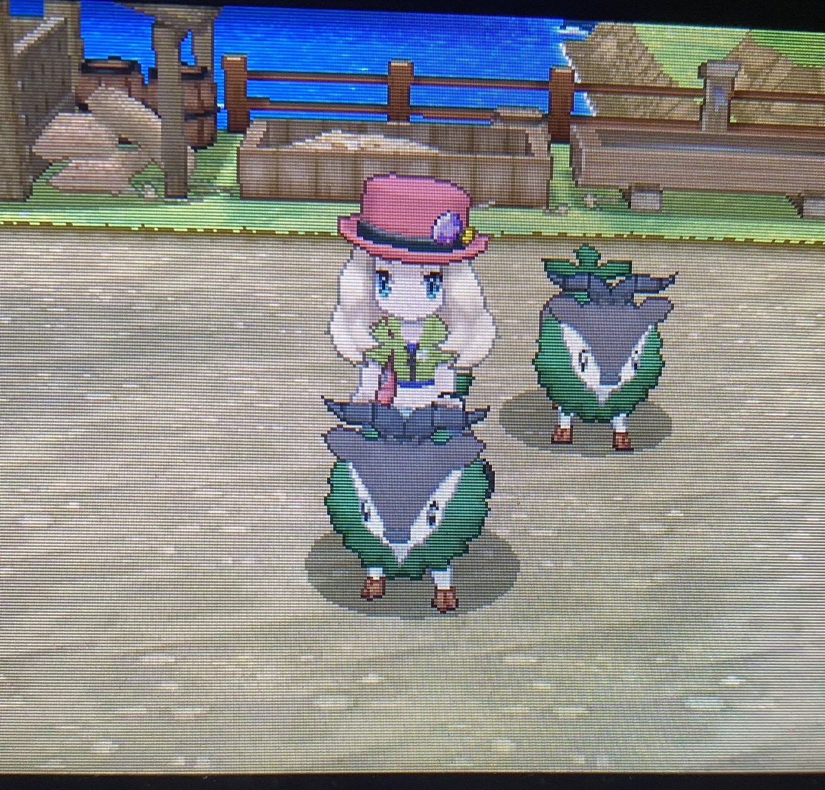 StarfallStorms's tweet image. I’m a professional Skiddo racer now