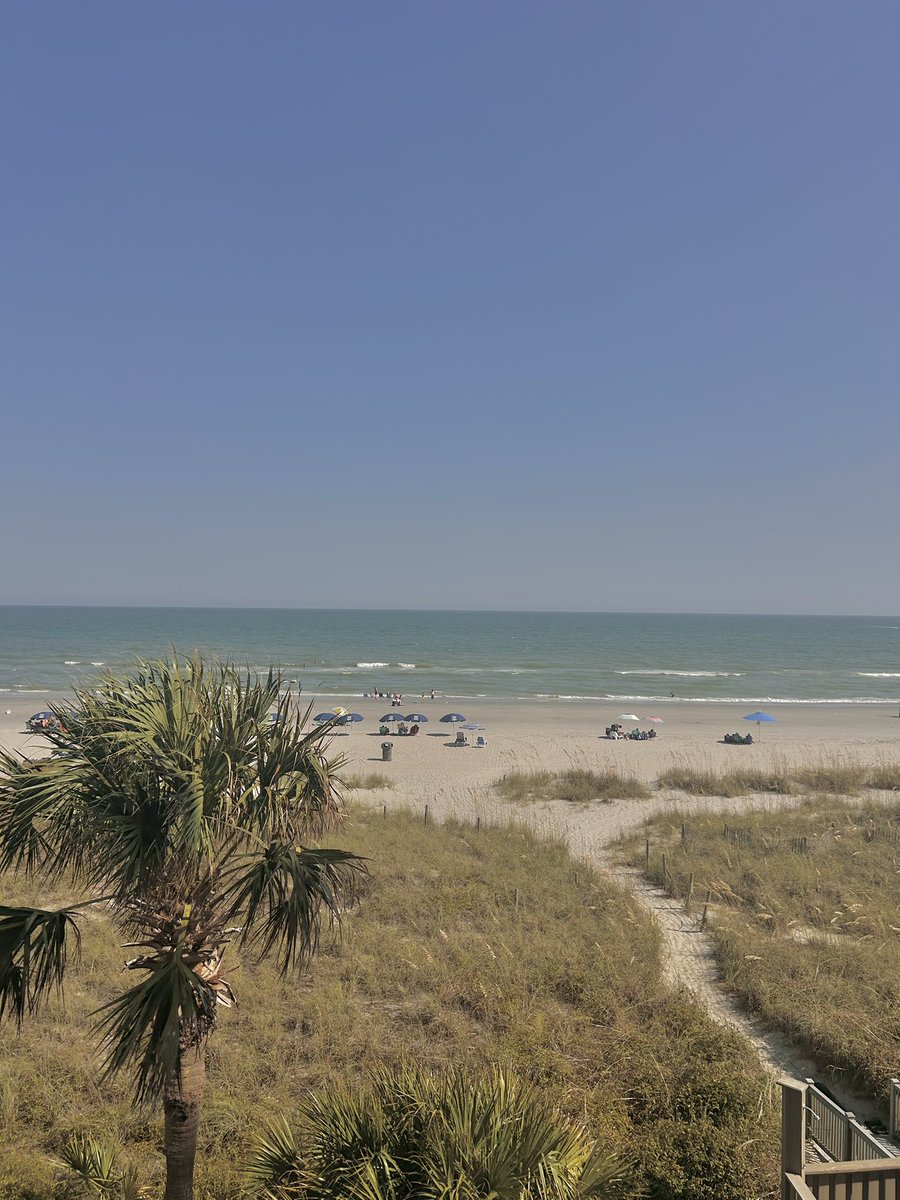 vonbvtch's tweet image. at da beach🦈