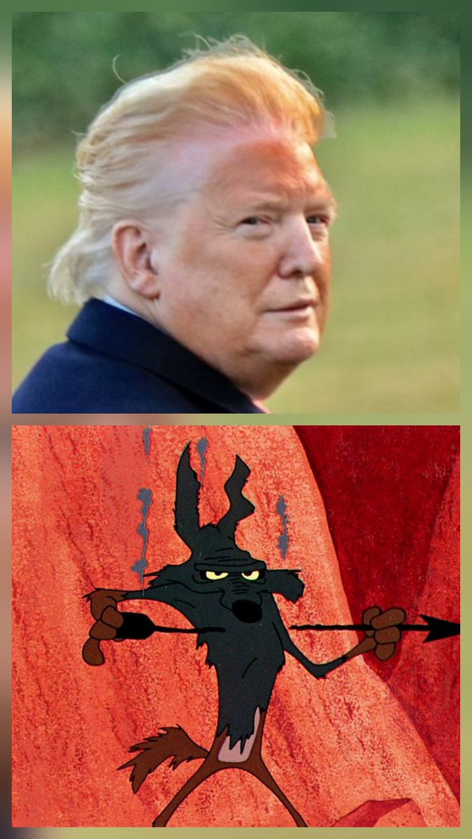steve_d24's tweet image. Separated at birth 💣🙂