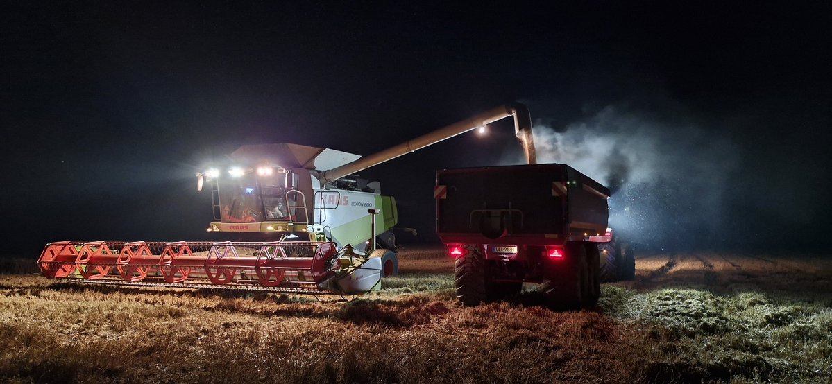Karin_B_E's tweet image. Vanavond gestart met #oogst25 wintertarwe 🚜🌾