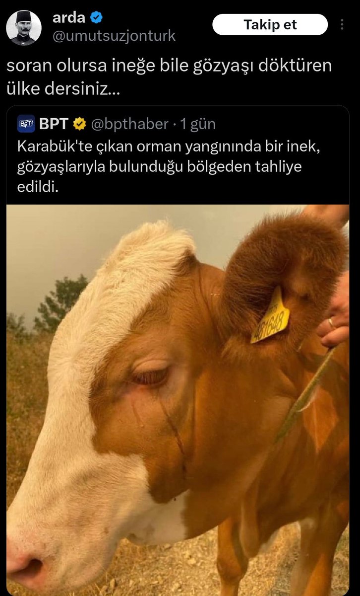 #hükümetistifa