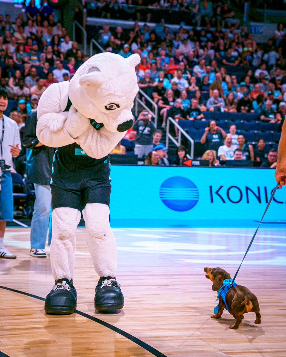 wpgseabears's tweet image. It was a paw-ty last night 🐾
Thanks for bringing the energy, Sea Bears Nation⚡️
Photos of the game are presented by CinDen Integrative Health Services. Your Health, Your Way