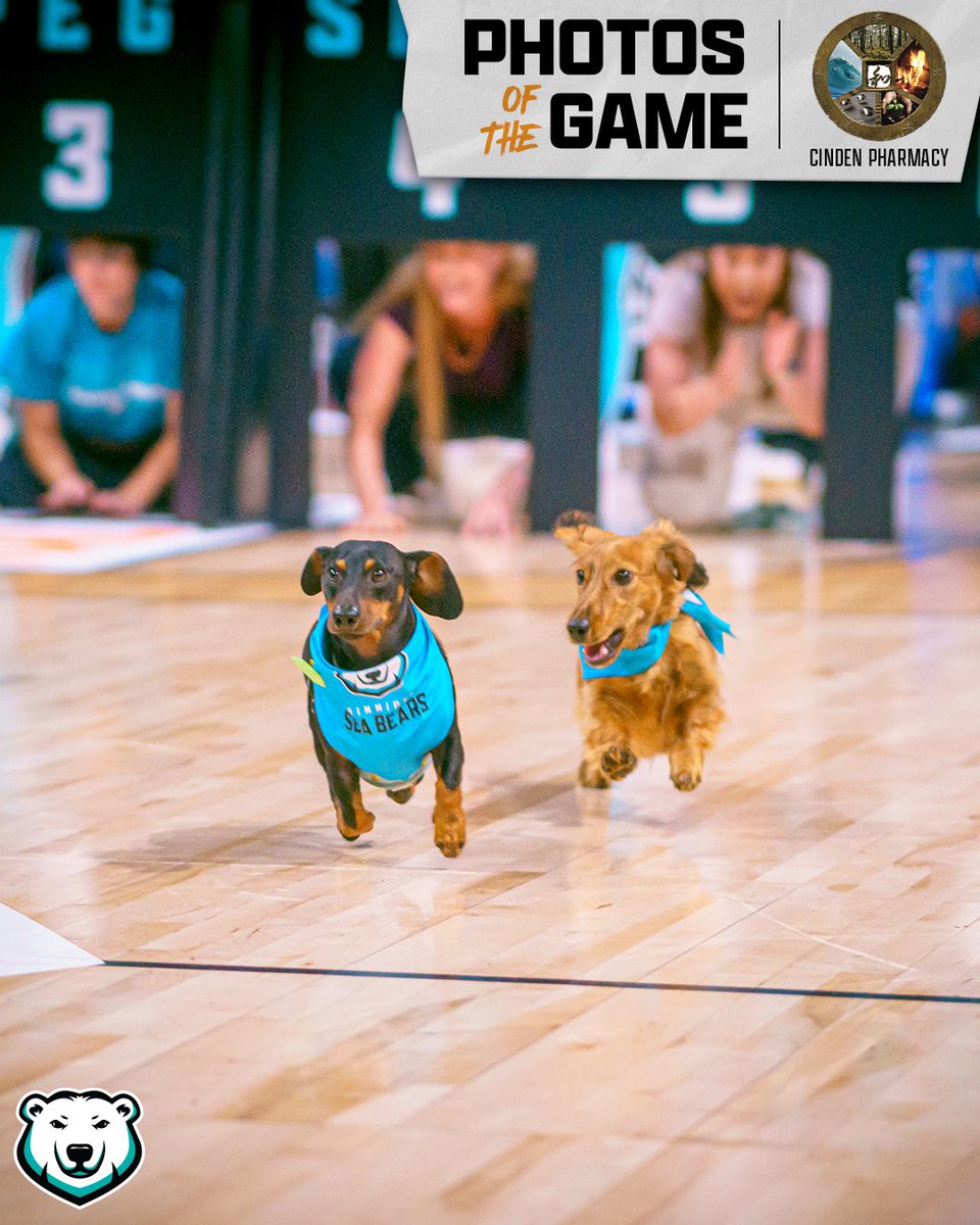 wpgseabears's tweet image. It was a paw-ty last night 🐾
Thanks for bringing the energy, Sea Bears Nation⚡️
Photos of the game are presented by CinDen Integrative Health Services. Your Health, Your Way