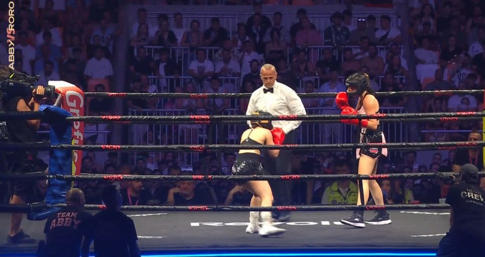 Como no iba a perder roro si el arbitro la separaba cuando intentaba golpear? Robo