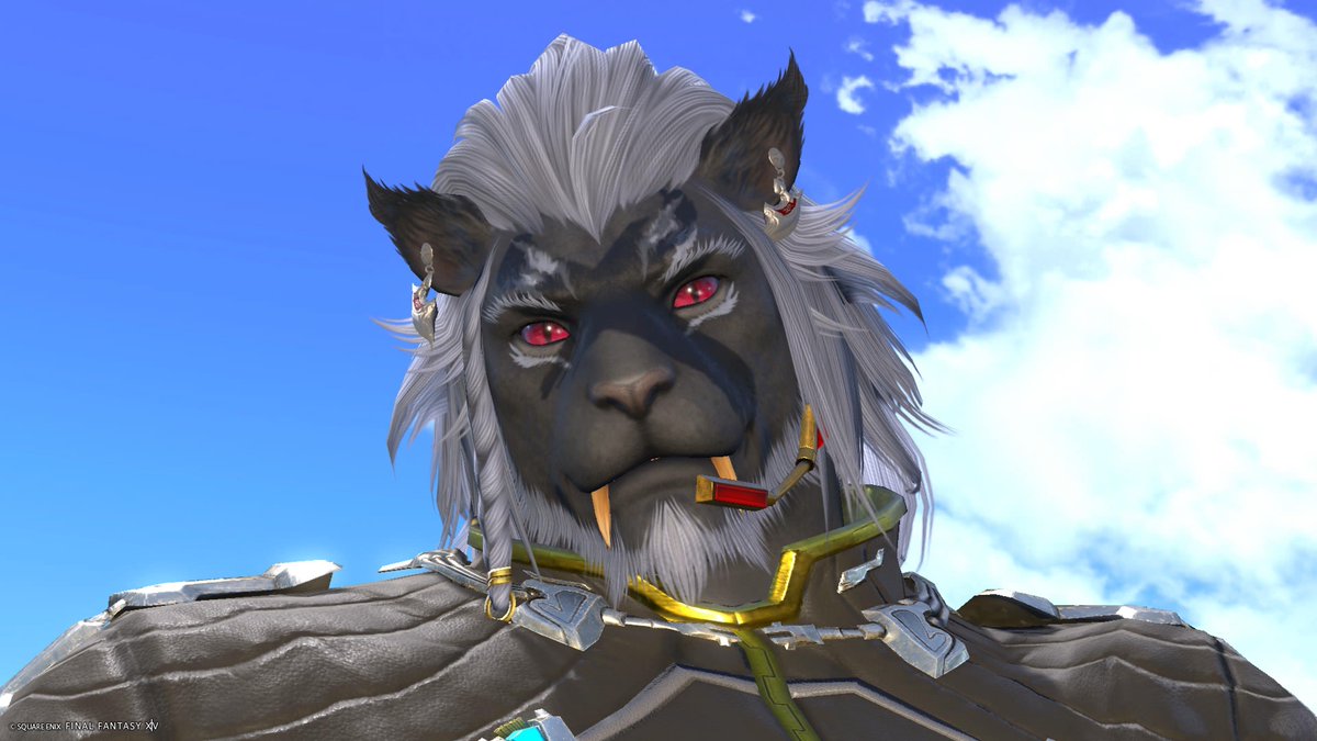 ryu_drago_ff14's tweet image. 青空が綺麗だったので突発撮り✨🦁✨