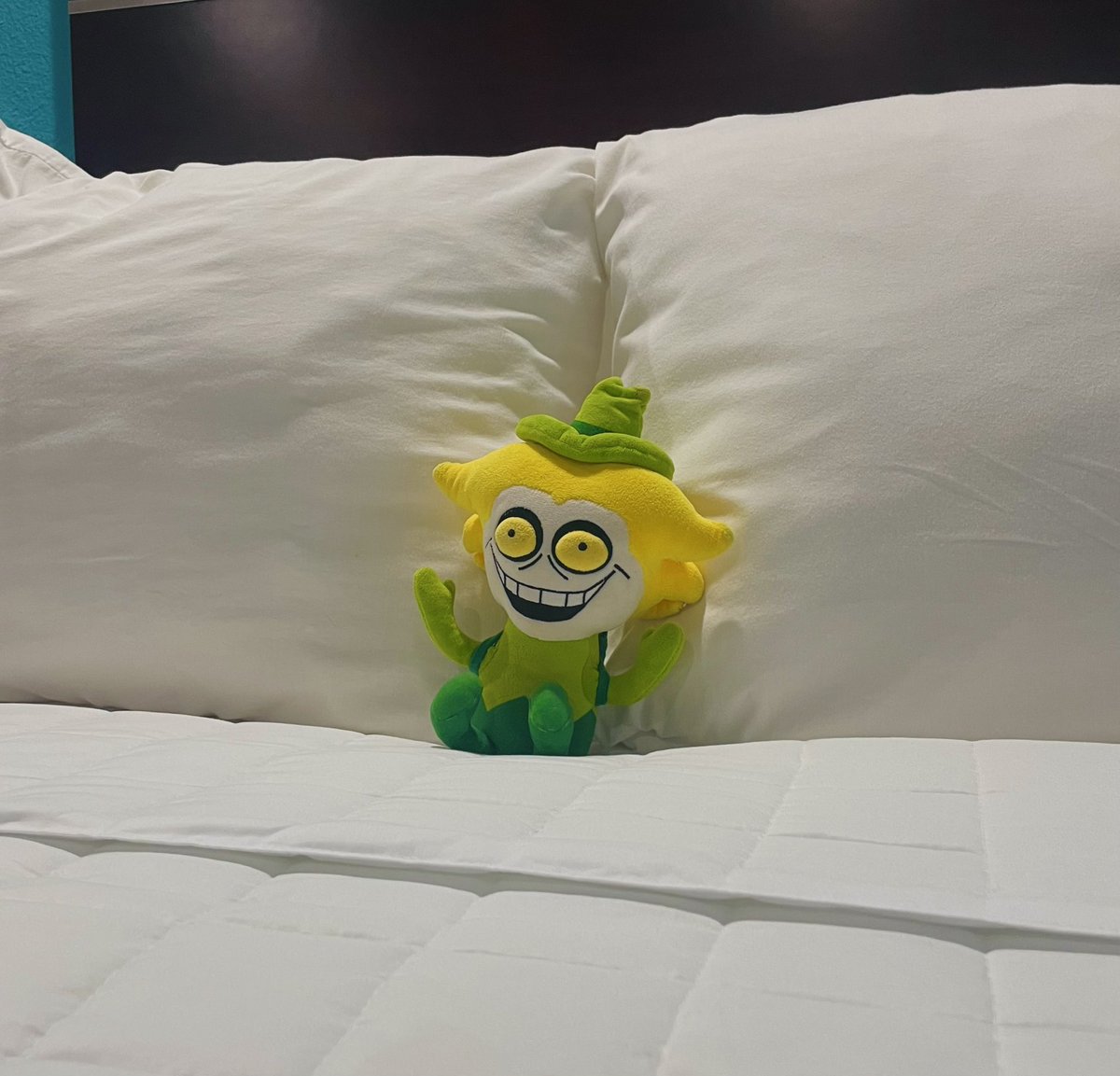 dailyplushaly's tweet photo. https://t.co/2jKqrv0W7l