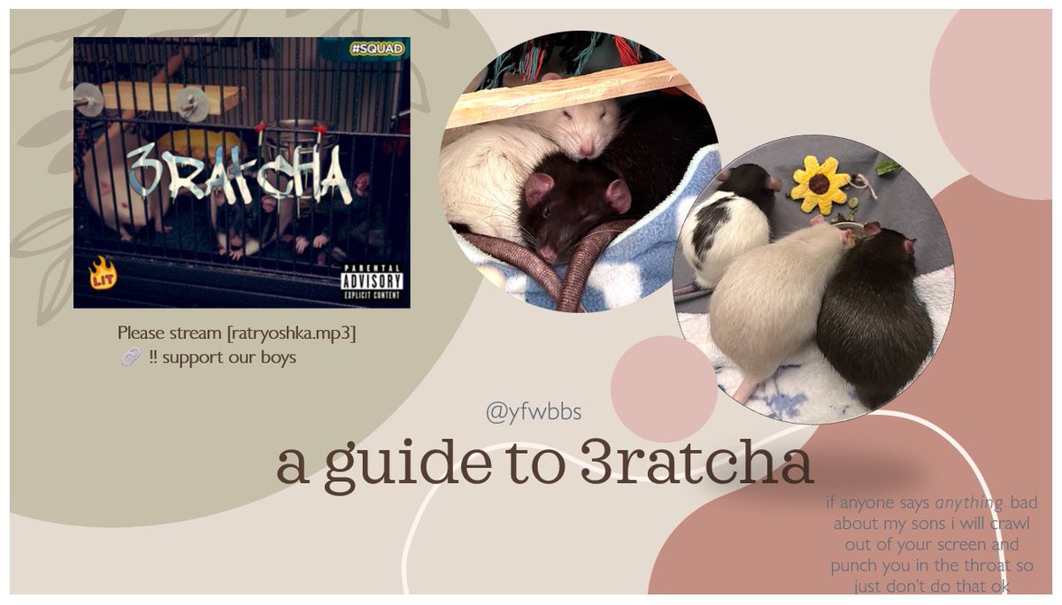 🌻 saff tweet media