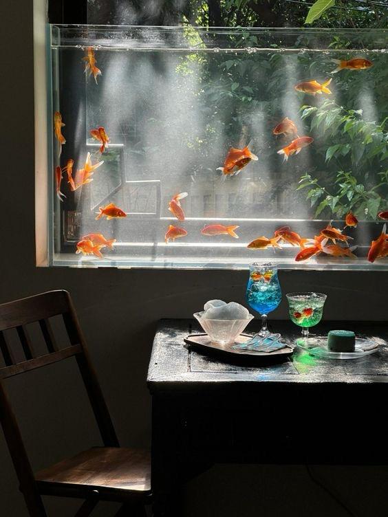 worldreamvibes's tweet image. 