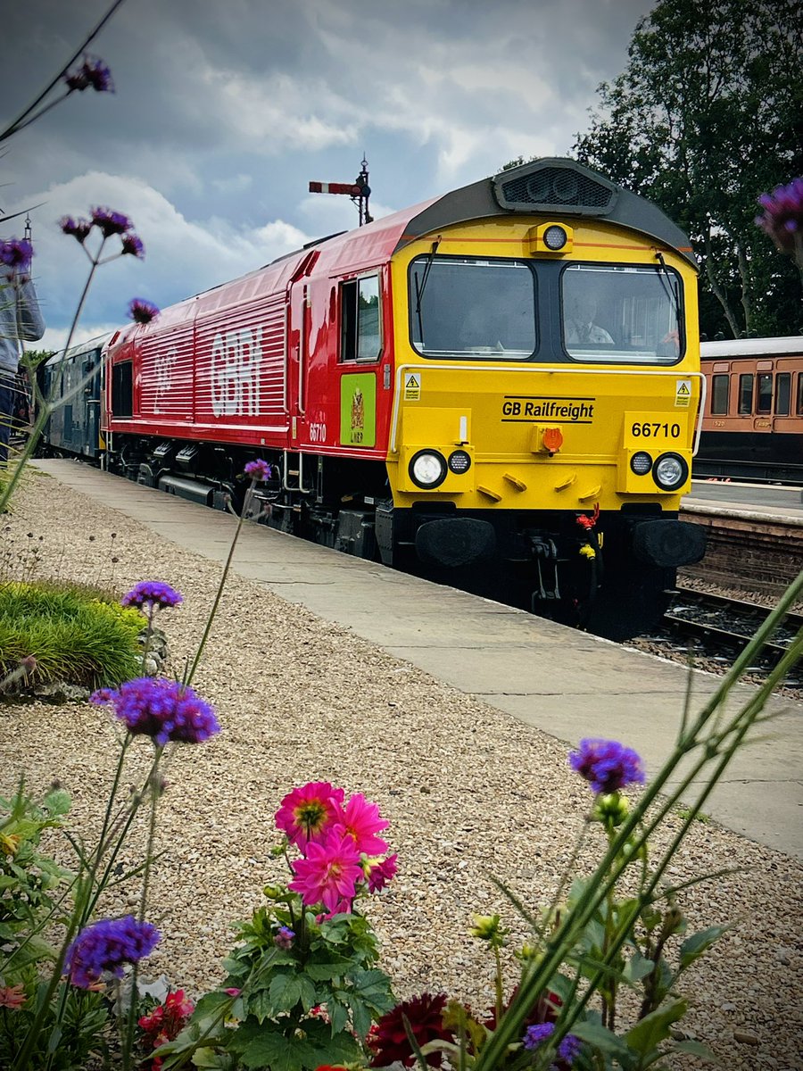 lukehouse313's tweet image. Rail 200 66710 Through The Flowers 🌺 At Horsted Keynes @bessbbe
