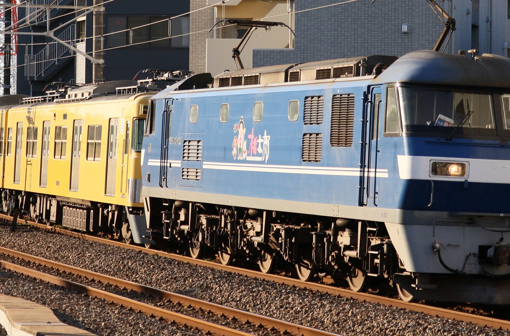 【鉄道サボ　種別板】（表）急行　松江−米子　普通　（裏）急行　EXPRESS 6121 交直流急行 北陸線急行サボ | 鉄道模型店 Models IMON