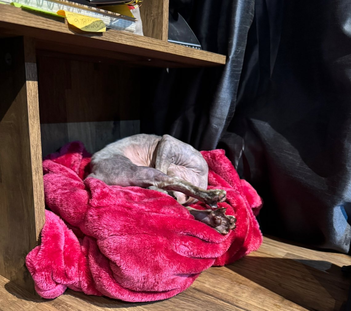 Aunt Cunt tweet media