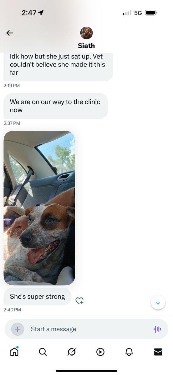 calic415's tweet image. Can anyone help my friend @SiathikMd with his dog? His roommate left out rat poison and she ate it.
We are trying to raise $1000