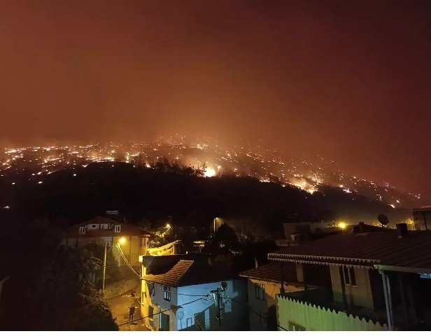 Ormanlarımız 
Evlerimiz 
Canlarımız 
Vatanımız 
Nefesimiz 
Cigerlerimiz yanıyor 

Sebep olanlar
Ciğeriniz yansın 

#bursayanıyor 
#ormanvatandır