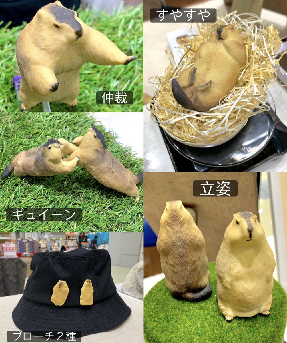 ディーラー名「すしまろ」、卓番3-13-12
本日のラインナップです。
ご覧の通りのマーモット尽くし
ぜひお越しくださいませ。
#マーモット
#ワンフェス2025夏
#ワンフェス2025s 
#WF2025S