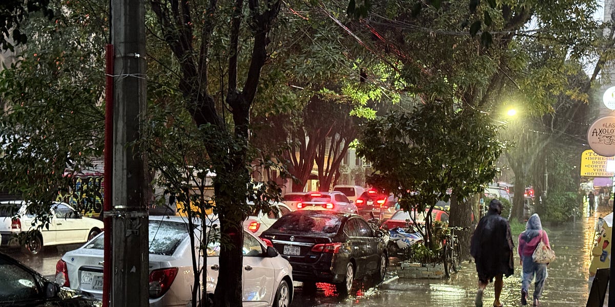 thurrott's tweet image. ☂️Mexico City: What to pack for the rainy season dlvr.it/TM7Z9r