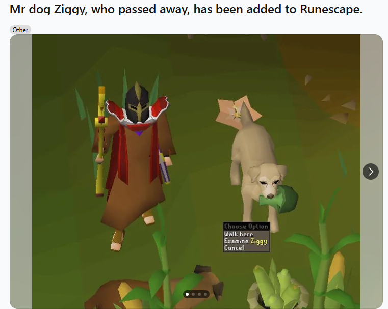 jackduval's tweet photo. ok here's the lore on $Ziggy

a reddit user whose dog (Ziggy) passed away was able to get in contact with the Runescape developers who then immortalized him in the game, adding Ziggy as an official character, as a way to honor his life

the post, which has only been up a few hours, is going insanely viral on Reddit as well

CA: GAoWzpYZ1NfWELa8vbgmftxybXFWb4ToSWfx3C89bonk