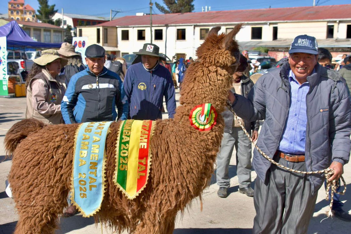 Nota de prensa | El MRE visibiliza al sector camélido en el Bicentenario con la XV Expo Feria Nacional de Camélidos en La Paz

🔗 cancilleria.gob.bo/mre/2025/07/26…

#DiplomaciaDeLosPueblos #PorLaVida
#UnidosRumbosAlBicentenario