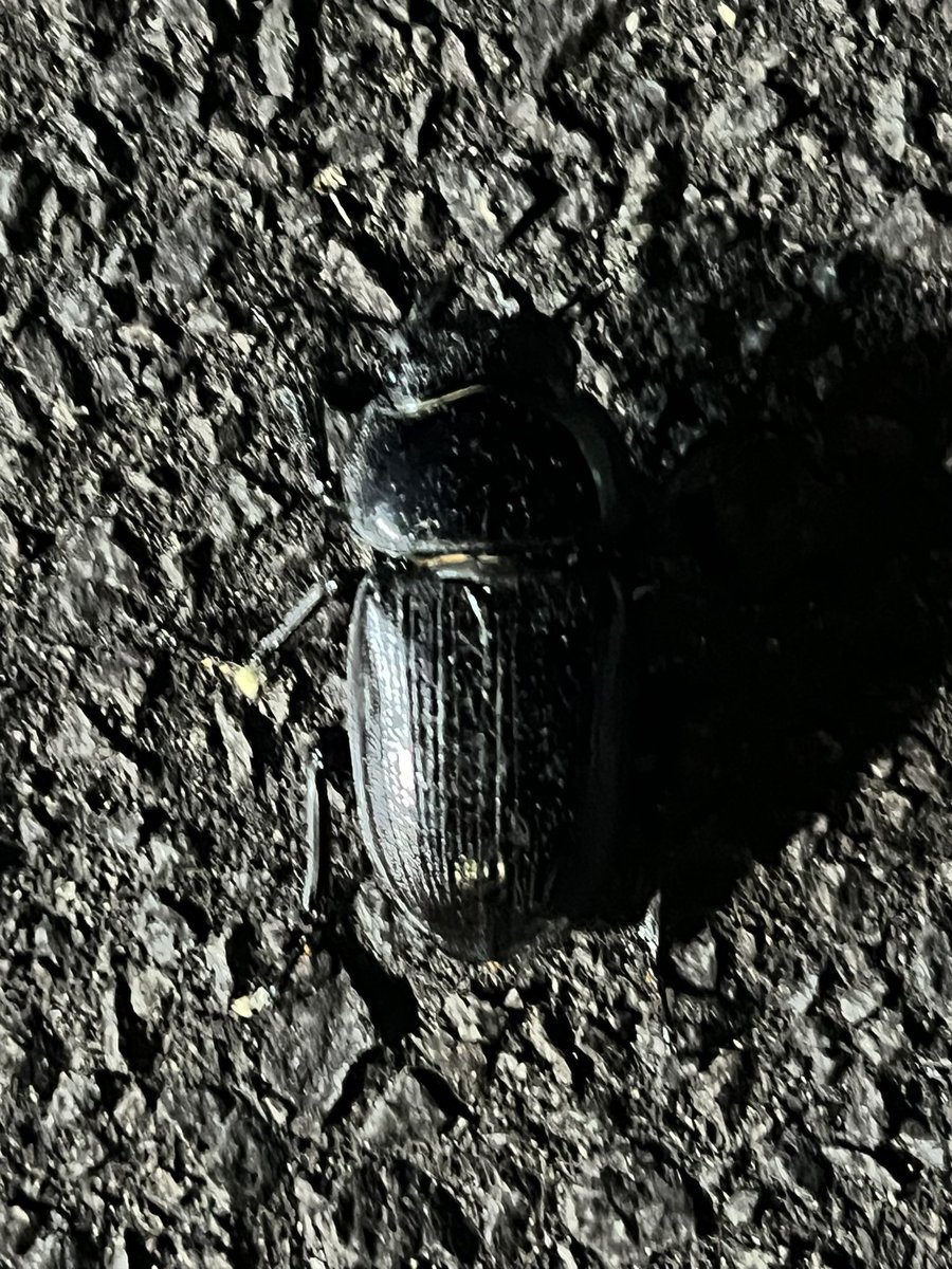 うれしい！たのしい！大好き！
#今峰ライト