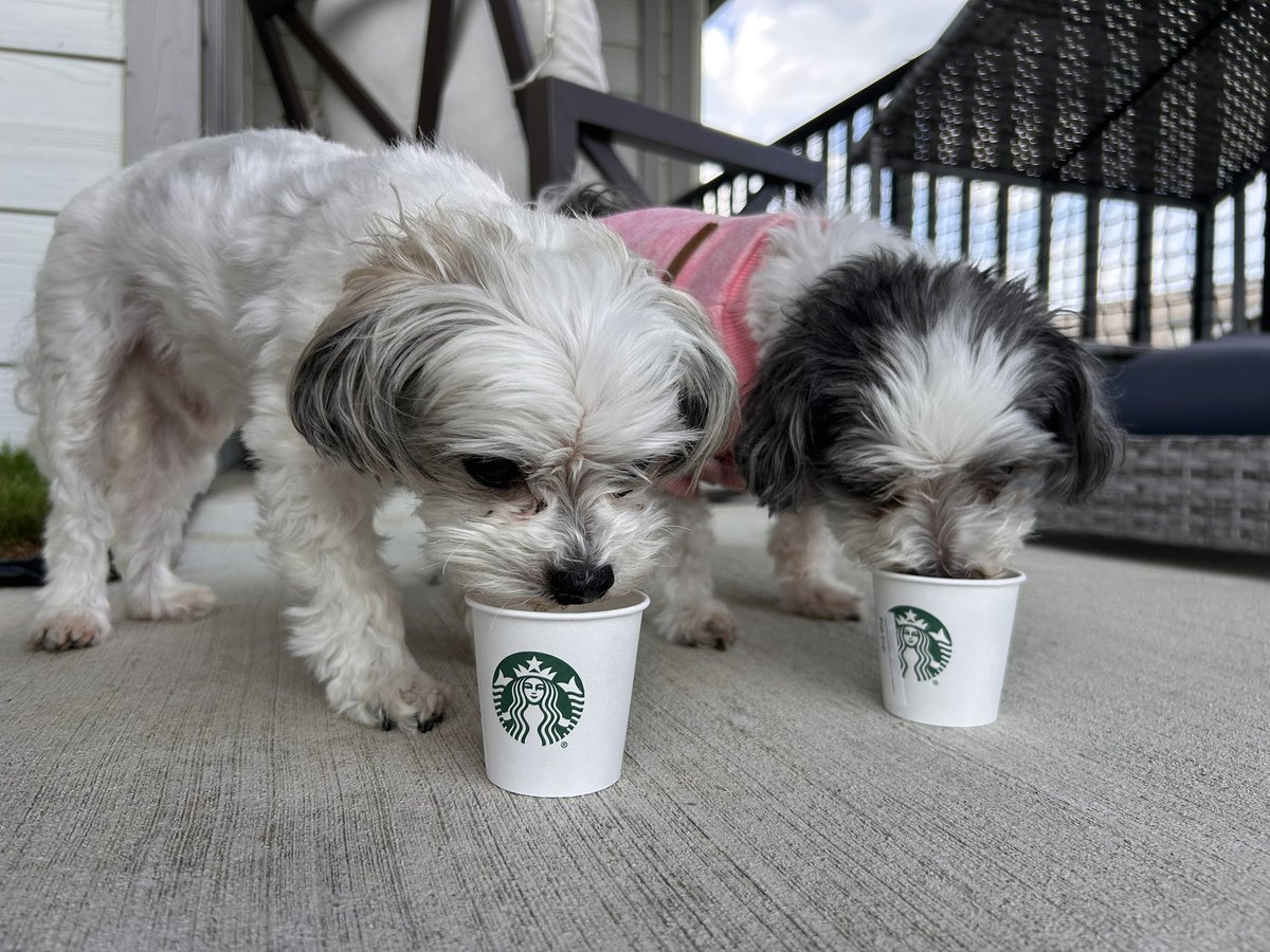 Cool treat on a hot day!