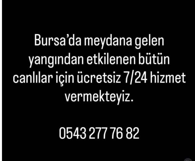 haysevder's tweet image. BURSA'DA YANGINDAN ZARAR GÖREN HAYVANLARA HİZMET VERECEK KLİNİK BİLGİLERİ (başka varsa lütfen altına ekleyerek devam edin) #bursayanıyor