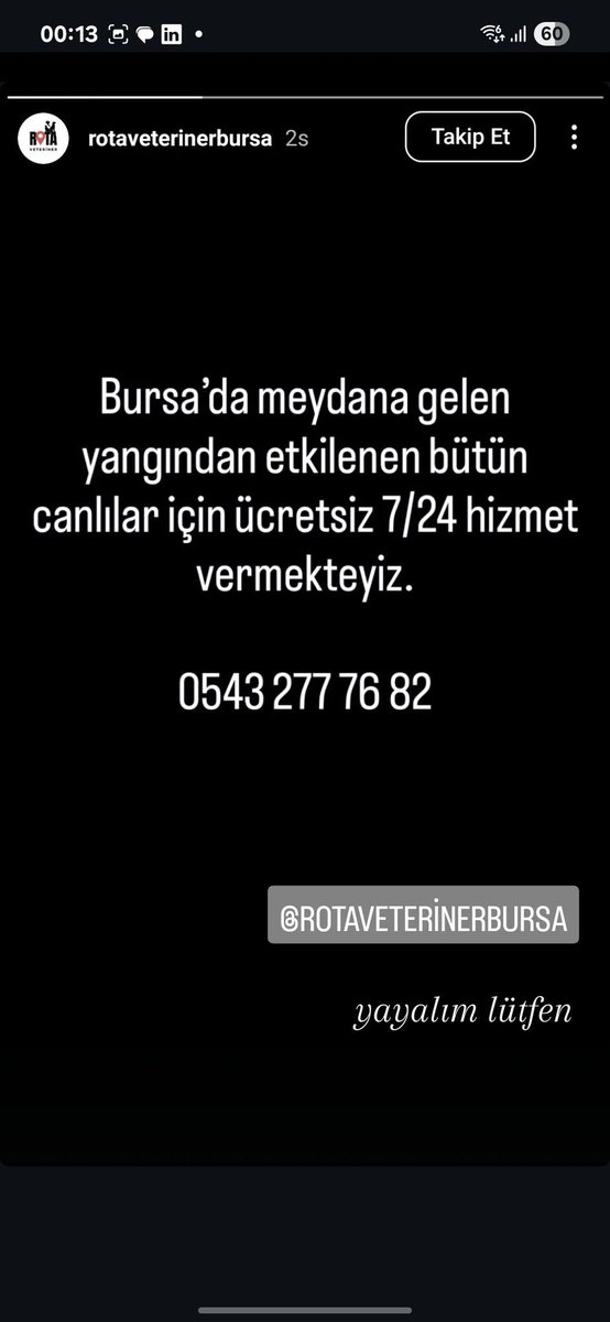 Bursa'da bir veteriner, yangında yaralanan hayvanlara ücretsiz hizmet veriyor.