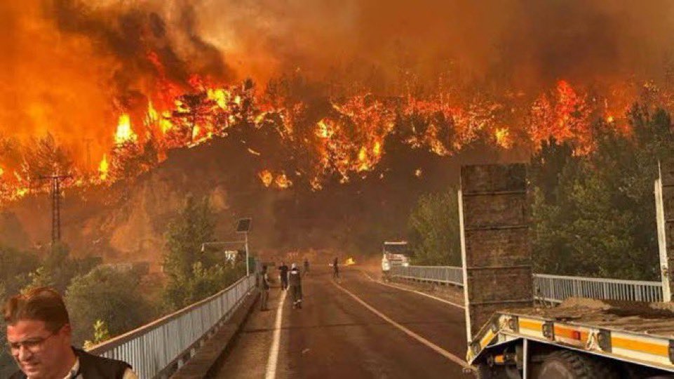 Canımız yanıyor, canlar yanıyor…

#bursayanıyor #karabükyanıyor #yangın acil destek..