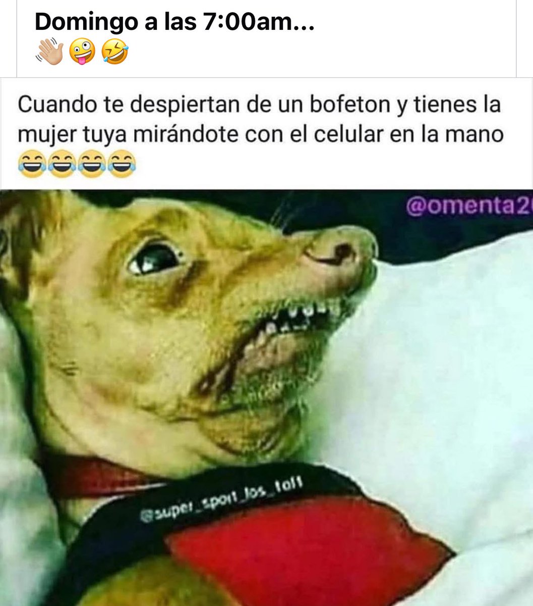 Mima1_20's tweet image. 😂😂😂😂😂😂😂😂